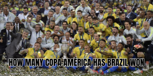 how many copa américa has brazil won